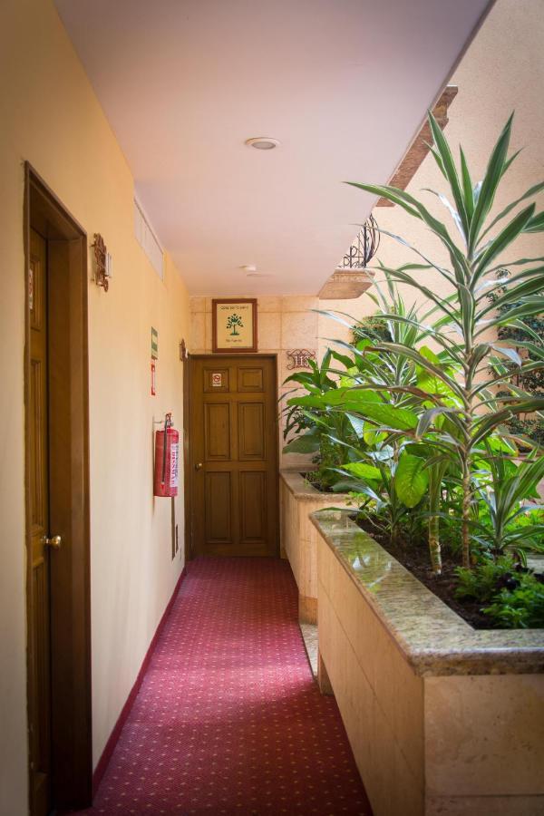 מקסיקו סיטי Hotel Santa Maria מראה חיצוני תמונה